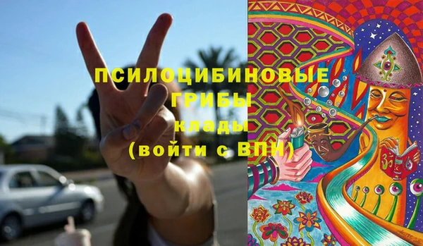 дмт Алзамай