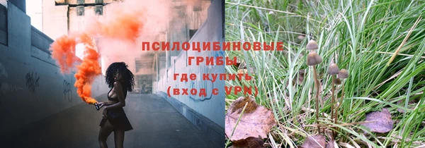 дживик Алексеевка