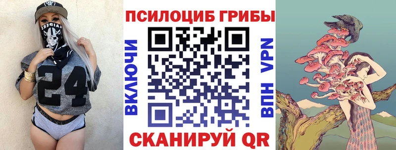 даркнет состав  Игарка  Галлюциногенные грибы прущие грибы 