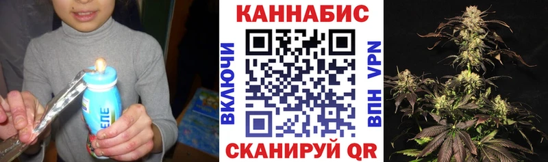 Каннабис семена  Игарка 